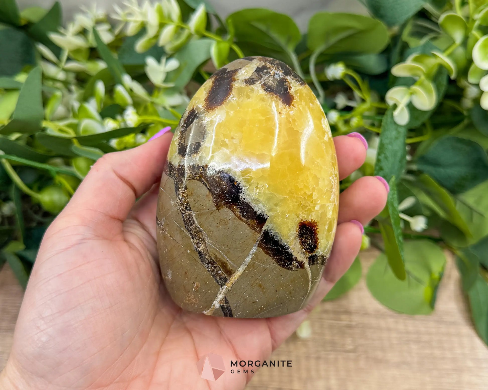 Septarian Dragon Egg Freeform No. 2 – Polished Crystal for Protection Earth Energy & Root Chakra Balance - Metaphysical