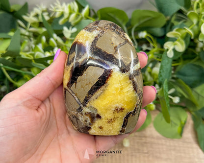 Septarian Dragon Egg Freeform No. 2 – Polished Crystal for Protection Earth Energy & Root Chakra Balance - Metaphysical