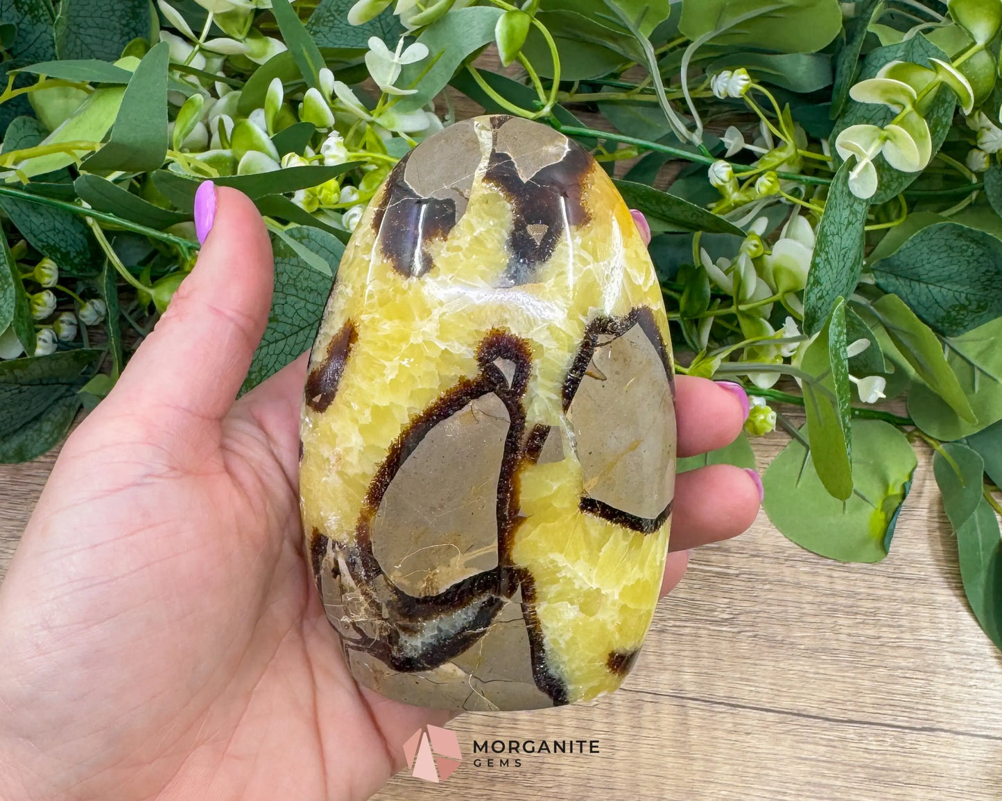 Septarian Dragon Egg Freeform No. 3 – Polished Crystal for Grounding Protection & Ancient Earth Wisdom - Metaphysical
