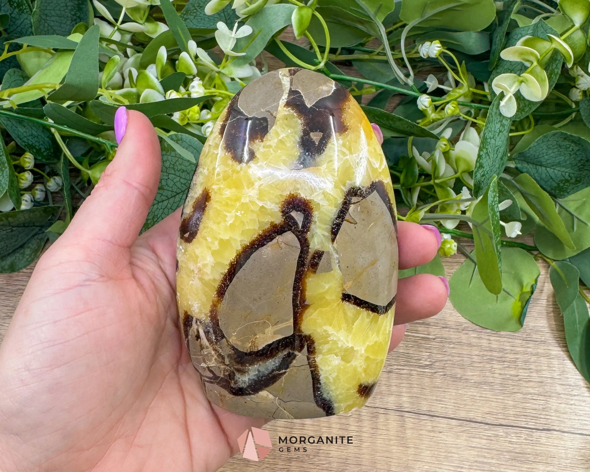 Septarian Dragon Egg Freeform No. 3 – Polished Crystal for Grounding Protection & Ancient Earth Wisdom - Metaphysical