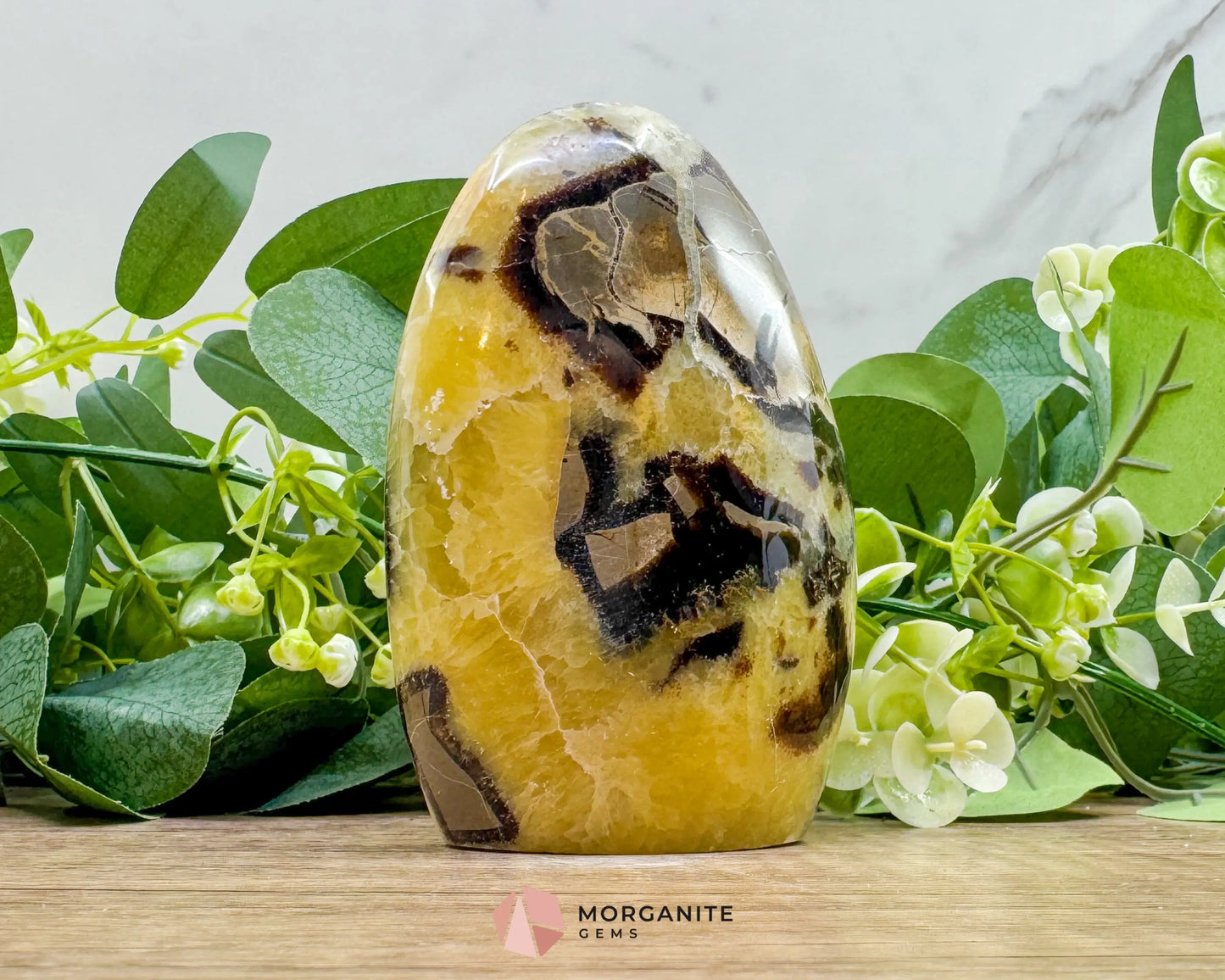 Septarian Dragon Egg Freeform No. 3 – Polished Crystal for Grounding Protection & Ancient Earth Wisdom - Metaphysical