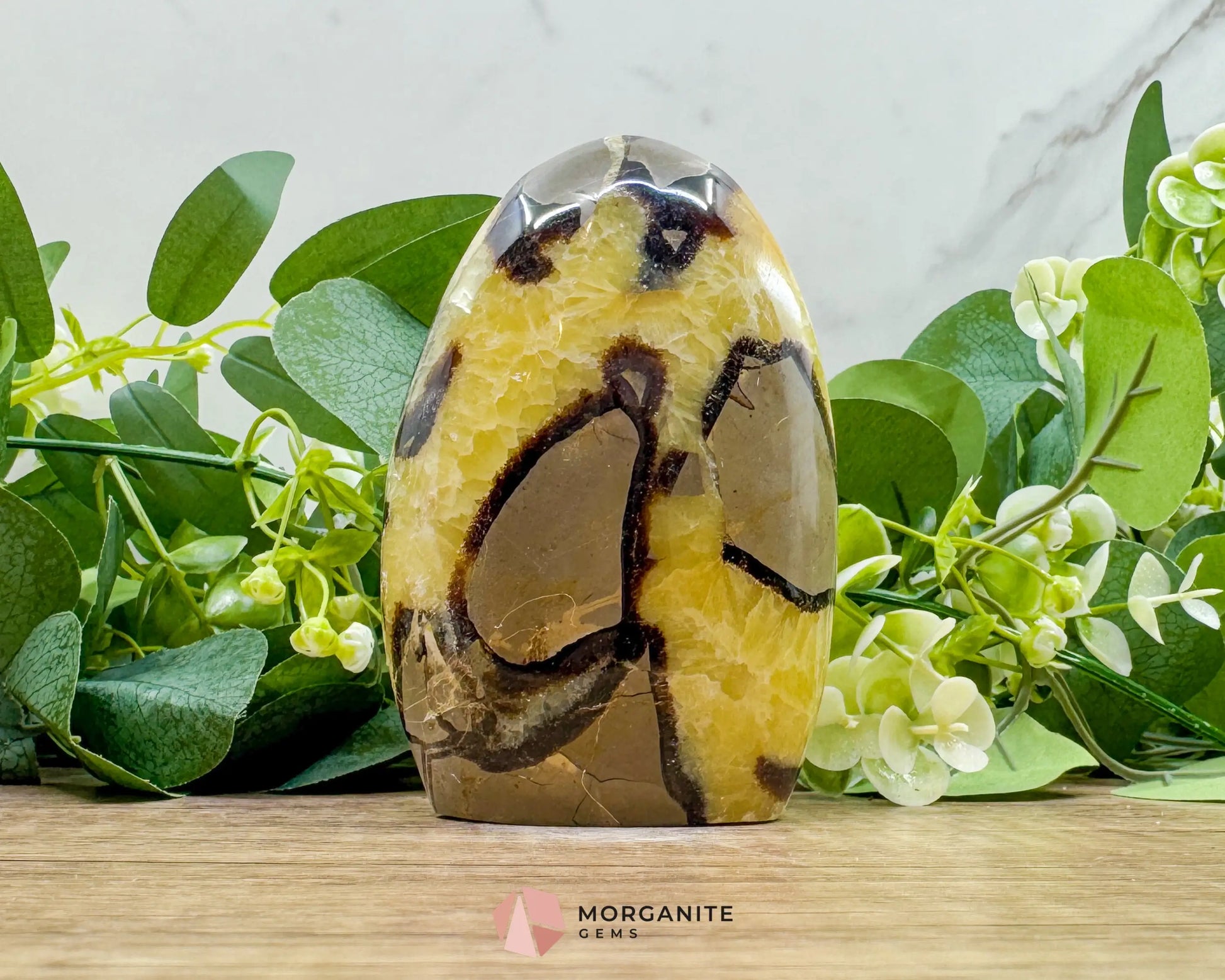 Septarian Dragon Egg Freeform No. 3 – Polished Crystal for Grounding Protection & Ancient Earth Wisdom - Metaphysical