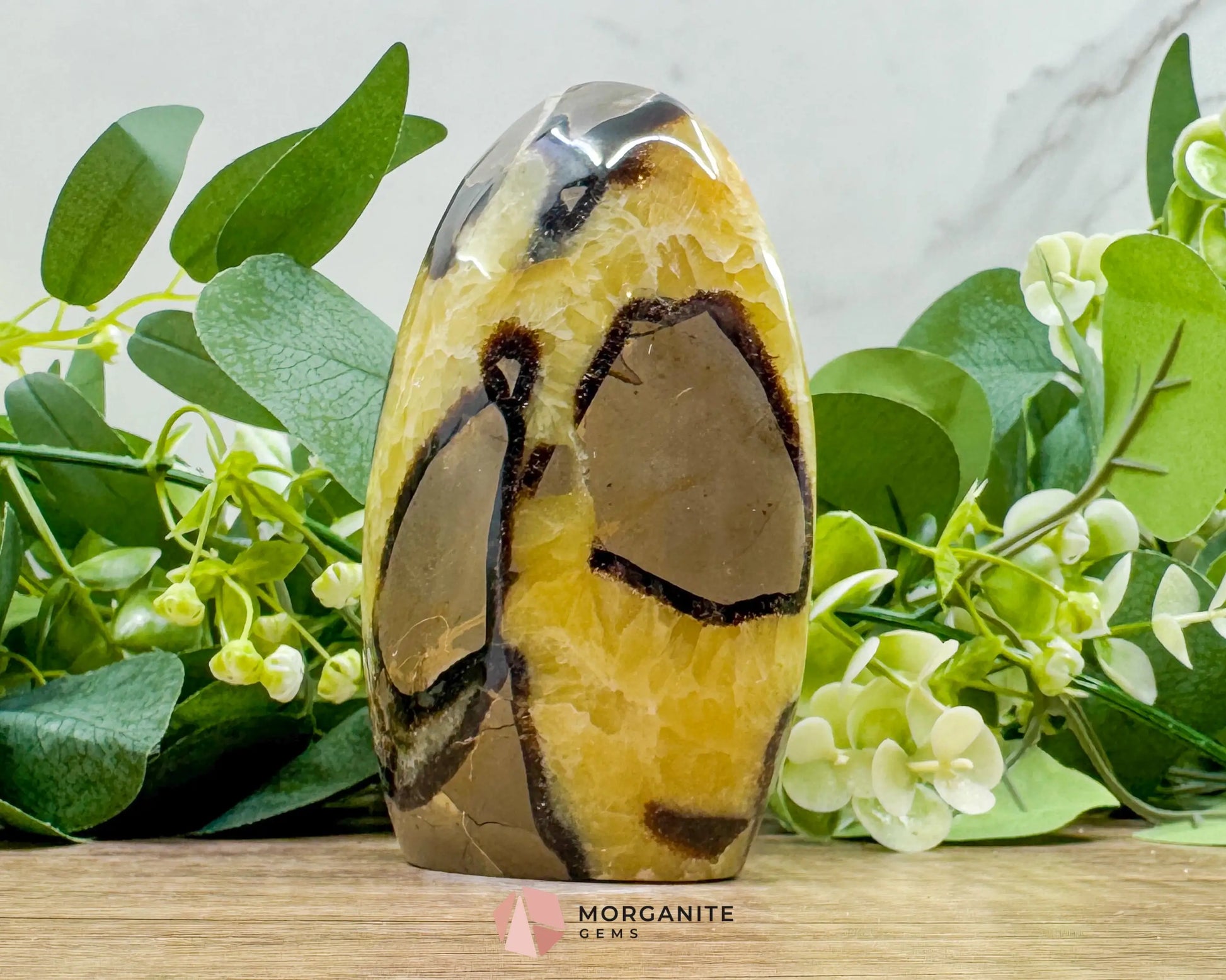 Septarian Dragon Egg Freeform No. 3 – Polished Crystal for Grounding Protection & Ancient Earth Wisdom - Metaphysical