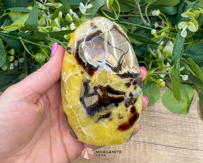 Septarian Dragon Egg Freeform No. 3 – Polished Crystal for Grounding Protection & Ancient Earth Wisdom - Metaphysical