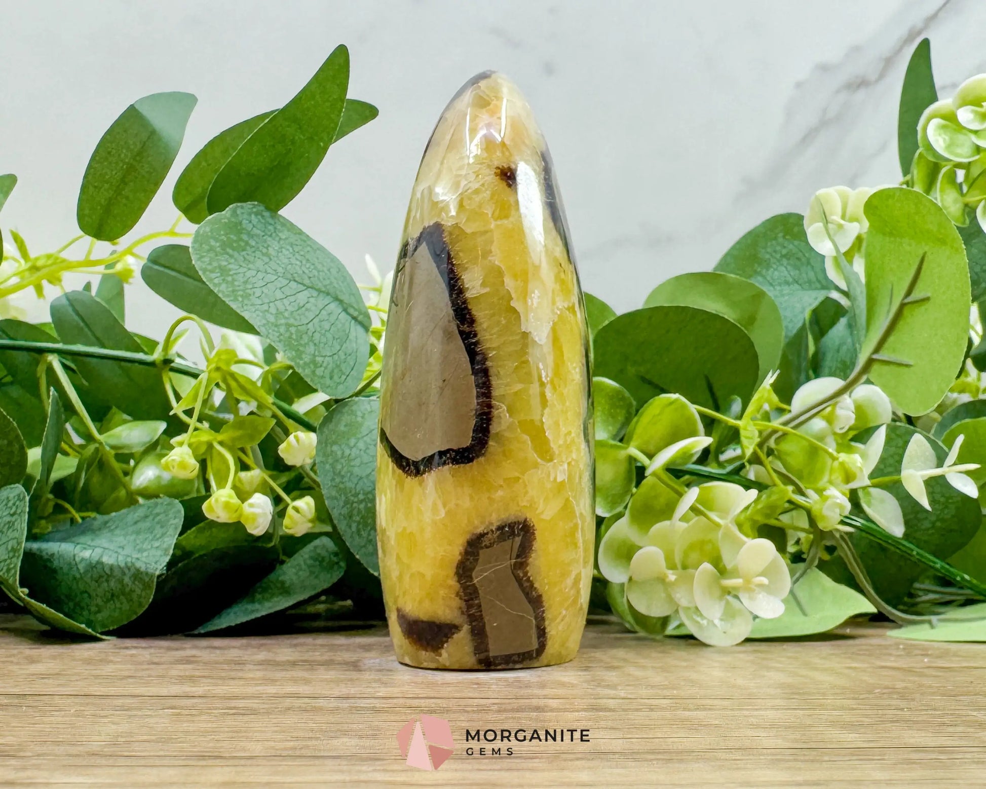 Septarian Dragon Egg Freeform No. 3 – Polished Crystal for Grounding Protection & Ancient Earth Wisdom - Metaphysical