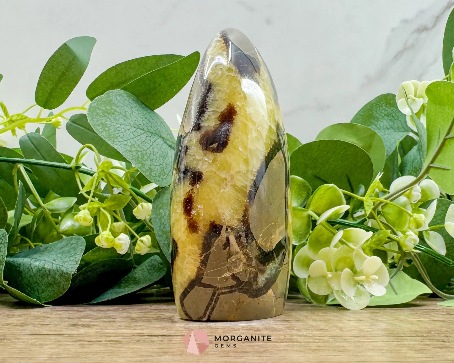 Septarian Dragon Egg Freeform No. 3 – Polished Crystal for Grounding Protection & Ancient Earth Wisdom - Metaphysical