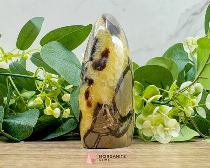 Septarian Dragon Egg Freeform No. 3 – Polished Crystal for Grounding Protection & Ancient Earth Wisdom - Metaphysical