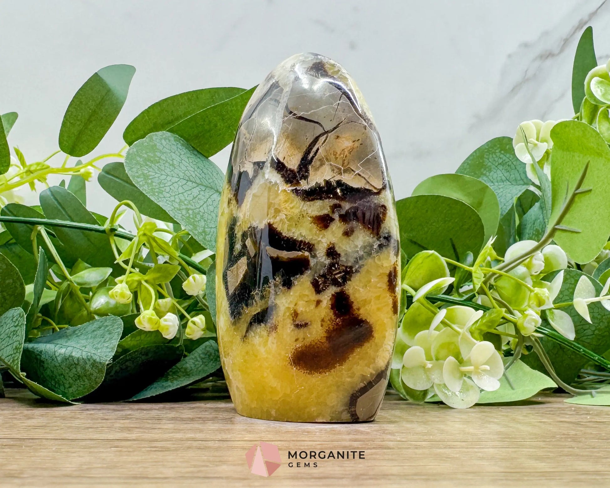 Septarian Dragon Egg Freeform No. 3 – Polished Crystal for Grounding Protection & Ancient Earth Wisdom - Metaphysical