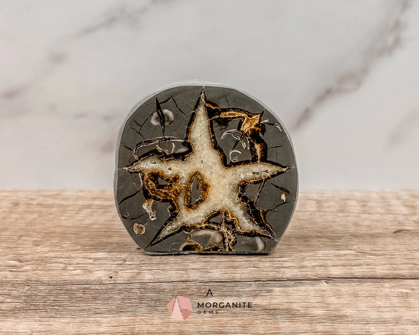 Septarian Nodule Polished End-Cuts – Unique Fossil Crystal for Grounding, Protection & Creativity-Morganite Gems