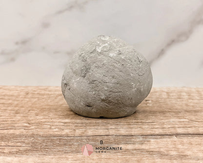 Septarian Nodule Polished End-Cuts – Unique Fossil Crystal for Grounding, Protection & Creativity-Morganite Gems