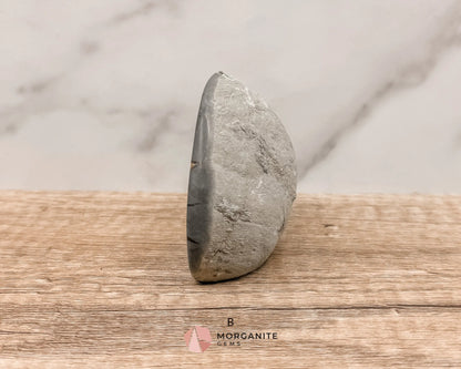 Septarian Nodule Polished End-Cuts – Unique Fossil Crystal for Grounding, Protection & Creativity-Morganite Gems