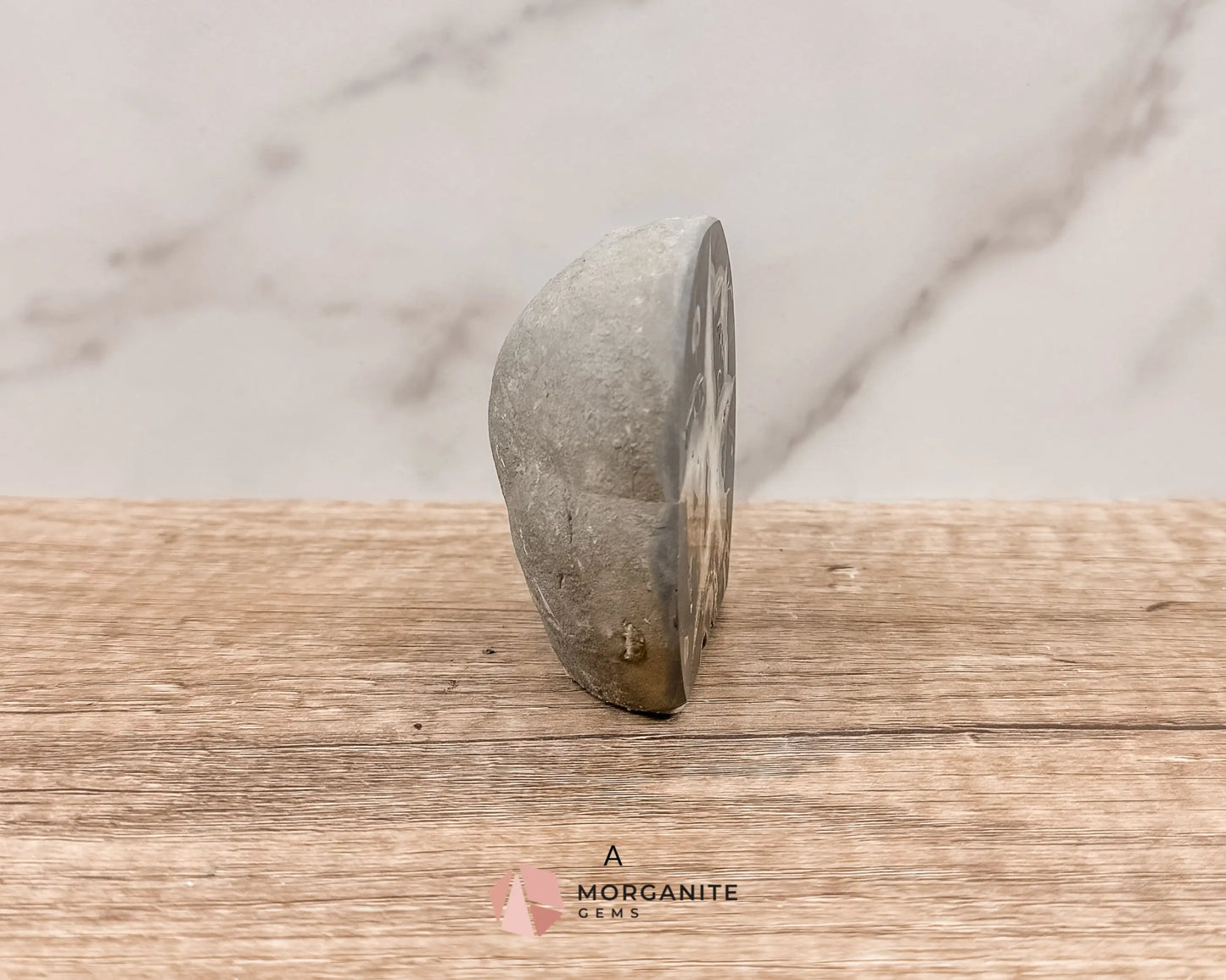 Septarian Nodule Polished End-Cuts – Unique Fossil Crystal for Grounding, Protection & Creativity-Morganite Gems