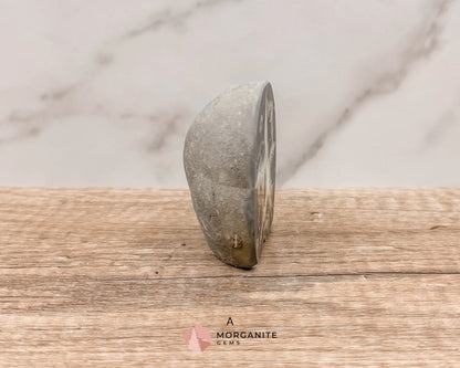 Septarian Nodule Polished End-Cuts – Unique Fossil Crystal for Grounding, Protection & Creativity-Morganite Gems