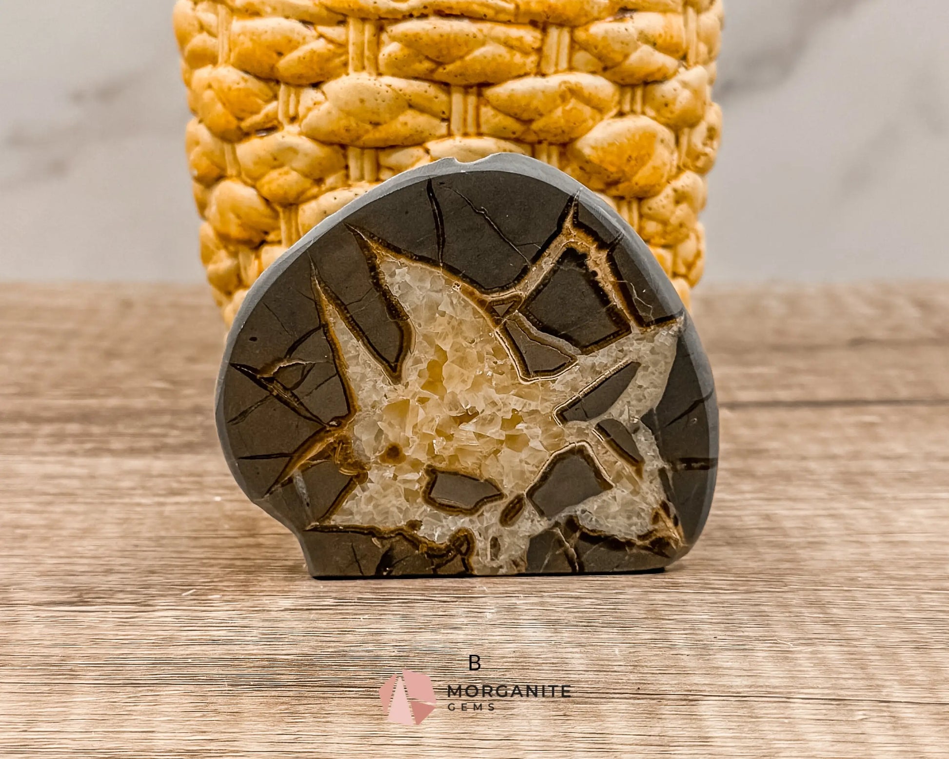 Septarian Nodule Polished End-Cuts – Unique Fossil Crystal for Grounding, Protection & Creativity-Morganite Gems