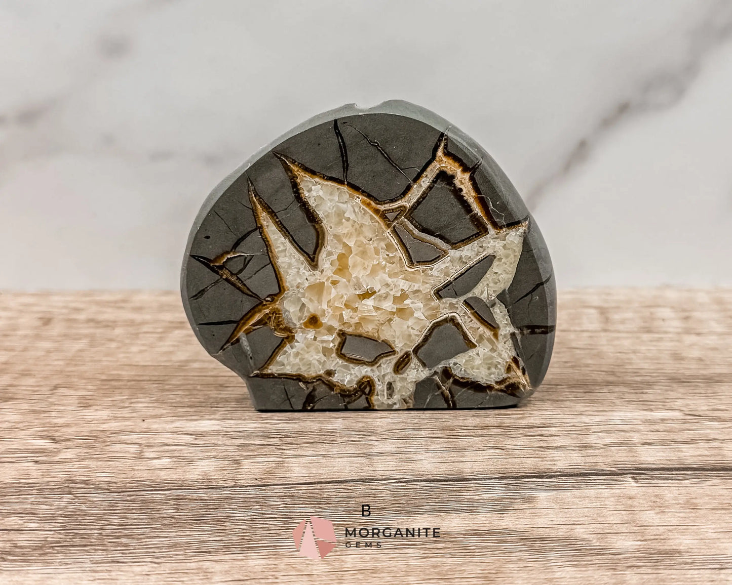 Septarian Nodule Polished End-Cuts – Unique Fossil Crystal for Grounding, Protection & Creativity-Morganite Gems