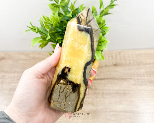 Septarian Nodule Standing Point Dragon Stone-Morganite Gems