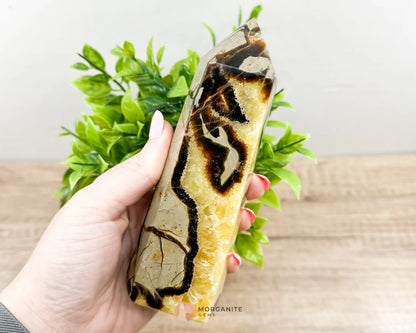 Septarian Nodule Standing Point Dragon Stone-Morganite Gems