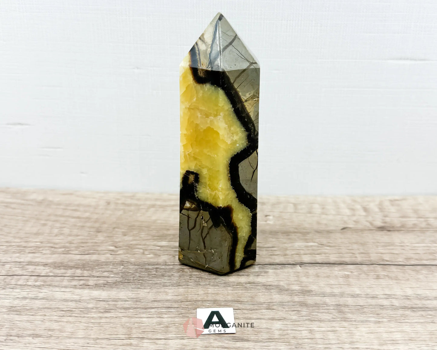 Septarian Nodule Standing Point Dragon Stone-Morganite Gems