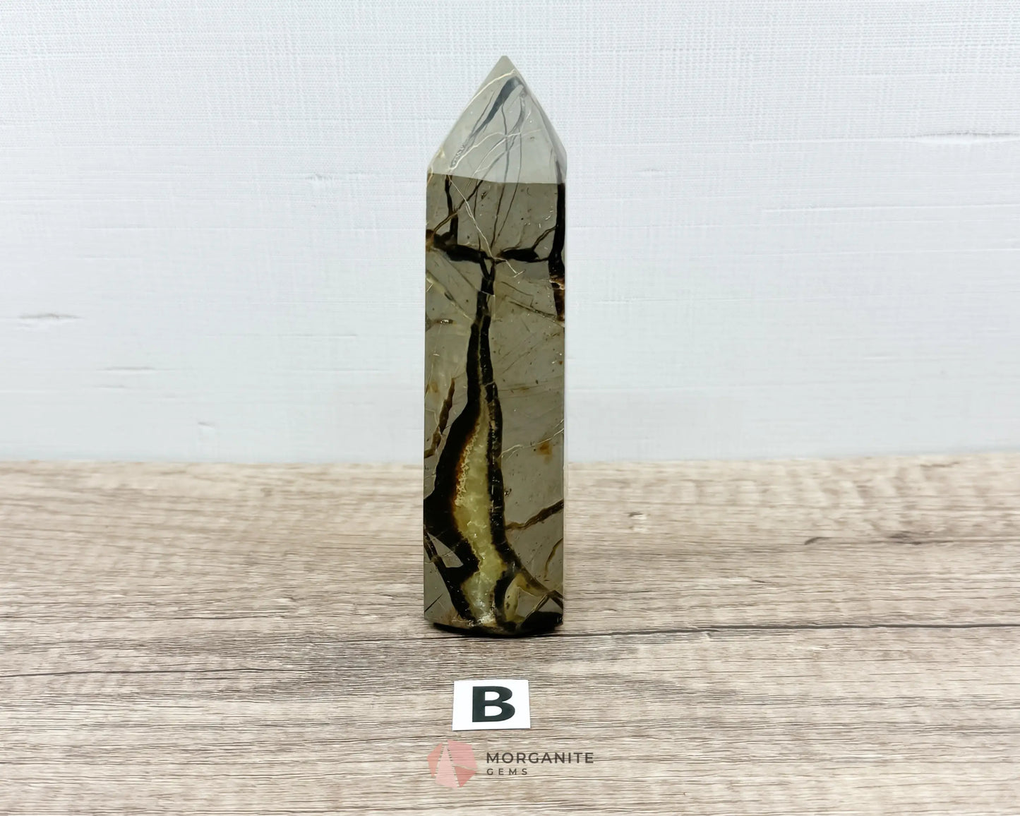 Septarian Nodule Standing Point Dragon Stone-Morganite Gems