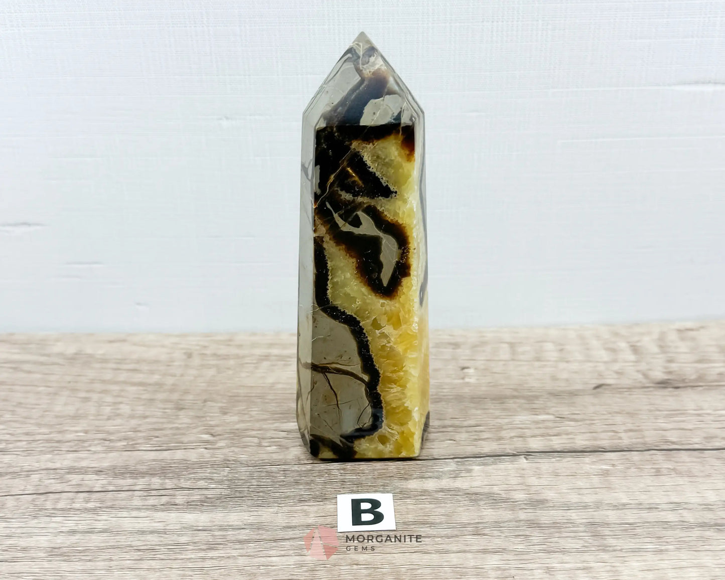 Septarian Nodule Standing Point Dragon Stone-Morganite Gems