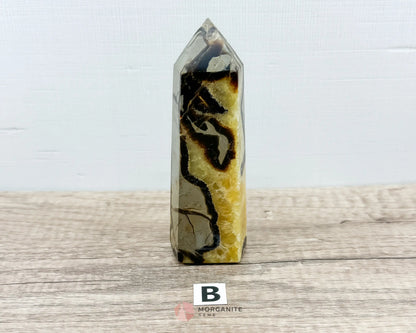 Septarian Nodule Standing Point Dragon Stone-Morganite Gems