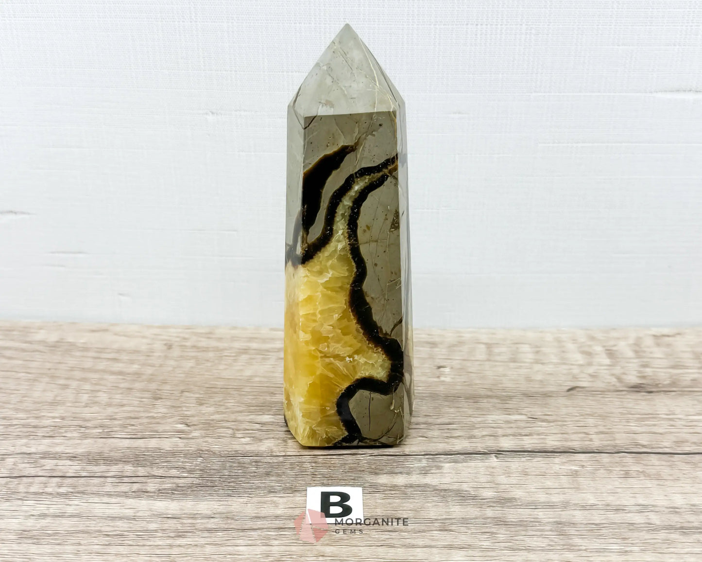 Septarian Nodule Standing Point Dragon Stone-Morganite Gems