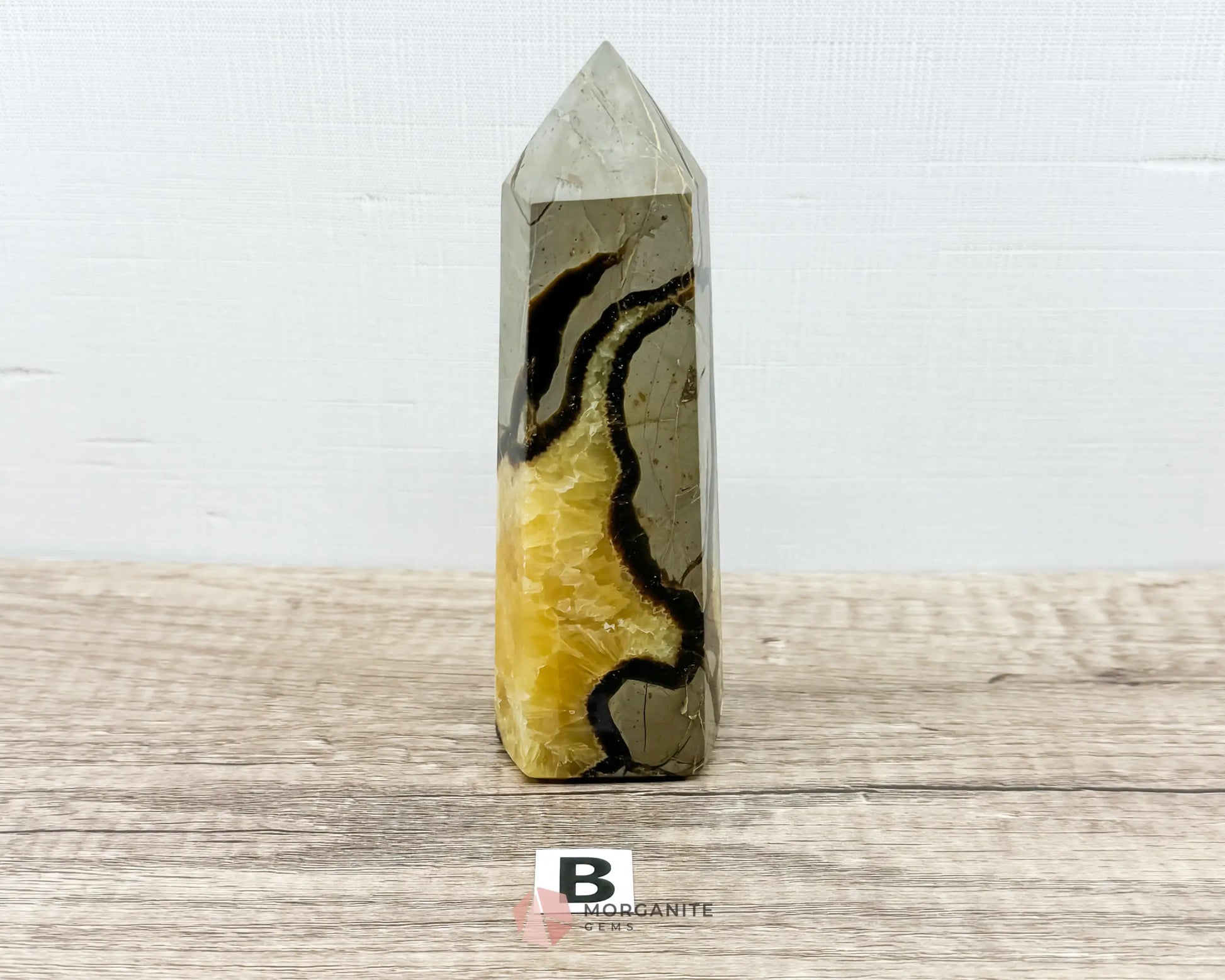 Septarian Nodule Standing Point Dragon Stone-Morganite Gems