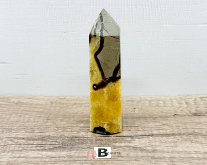 Septarian Nodule Standing Point Dragon Stone-Morganite Gems