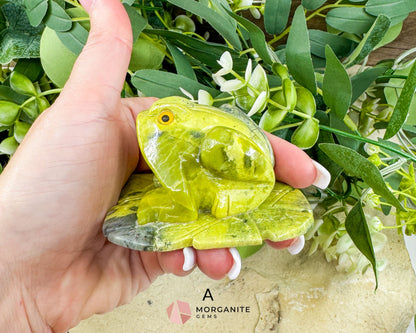 Serpentine Frog on Lily Pad – Hand-Carved Crystal Animal Figurine (Choose A or B 2’’) - Metaphysical Crystals