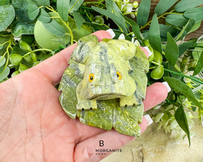 Serpentine Frog on Lily Pad – Hand-Carved Crystal Animal Figurine (Choose A or B 2’’) - Metaphysical Crystals