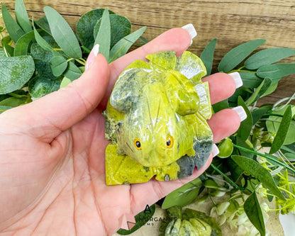 Serpentine Frog on Lily Pad – Hand-Carved Crystal Animal Figurine (Choose A or B 2’’) - Metaphysical Crystals