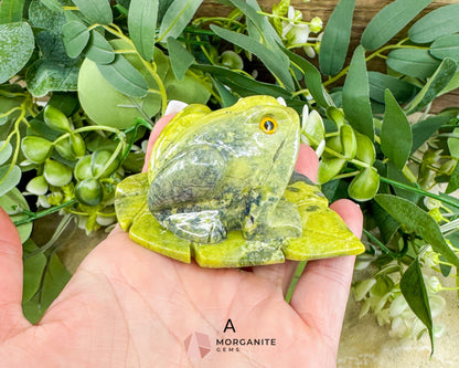 Serpentine Frog on Lily Pad – Hand-Carved Crystal Animal Figurine (Choose A or B 2’’) - Metaphysical Crystals