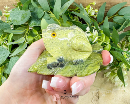 Serpentine Frog on Lily Pad – Hand-Carved Crystal Animal Figurine (Choose A or B 2’’) - Metaphysical Crystals