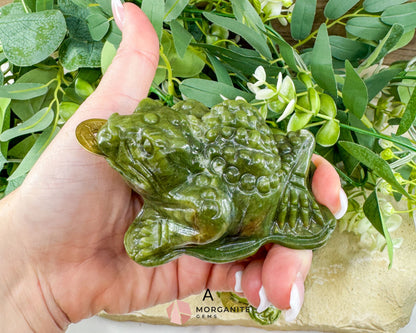 Serpentine Money Frog with Coin – Hand-Carved Crystal Toad for Wealth & Abundance - Metaphysical Crystals