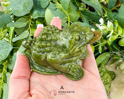 Serpentine Money Frog with Coin – Hand-Carved Crystal Toad for Wealth & Abundance - Metaphysical Crystals