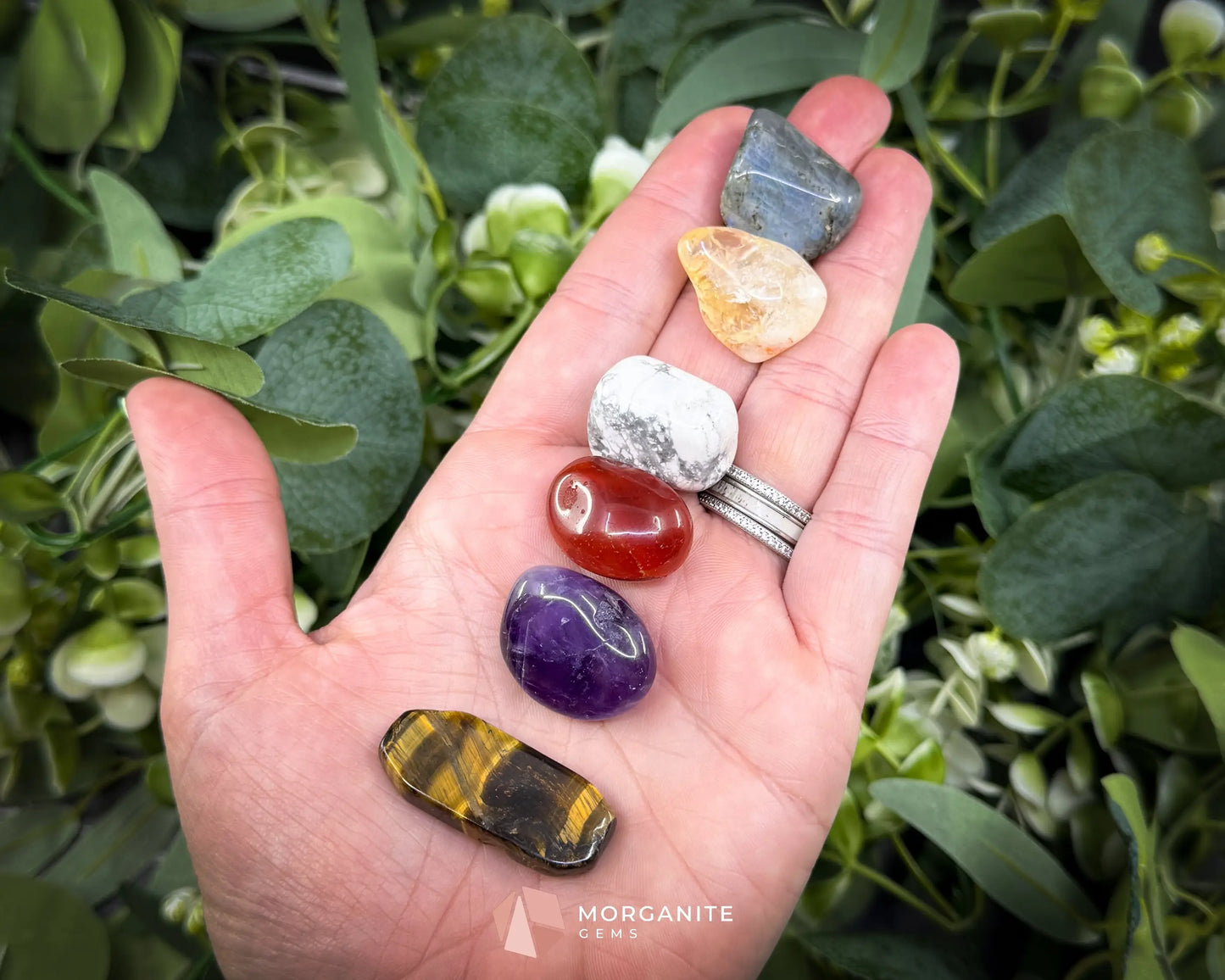 Zodiac Crystal Set | 12 Astrology-Aligned Gemstone Kits | Includes Pouch & Info - ♌ Leo (Jul 23–Aug 22) - Metaphysical