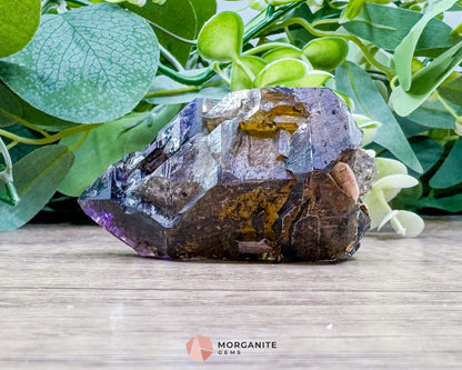 Shangaan Amethyst Point – 116g Rare Crystal for Intuition Spiritual Activation & Protection - Metaphysical Crystals