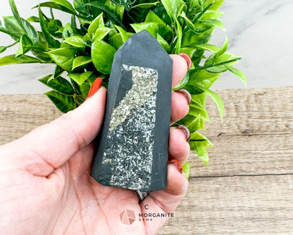 Shungite with Pyrite Towers – Natural Energy Amplifiers for Harmonious Spaces-Morganite Gems