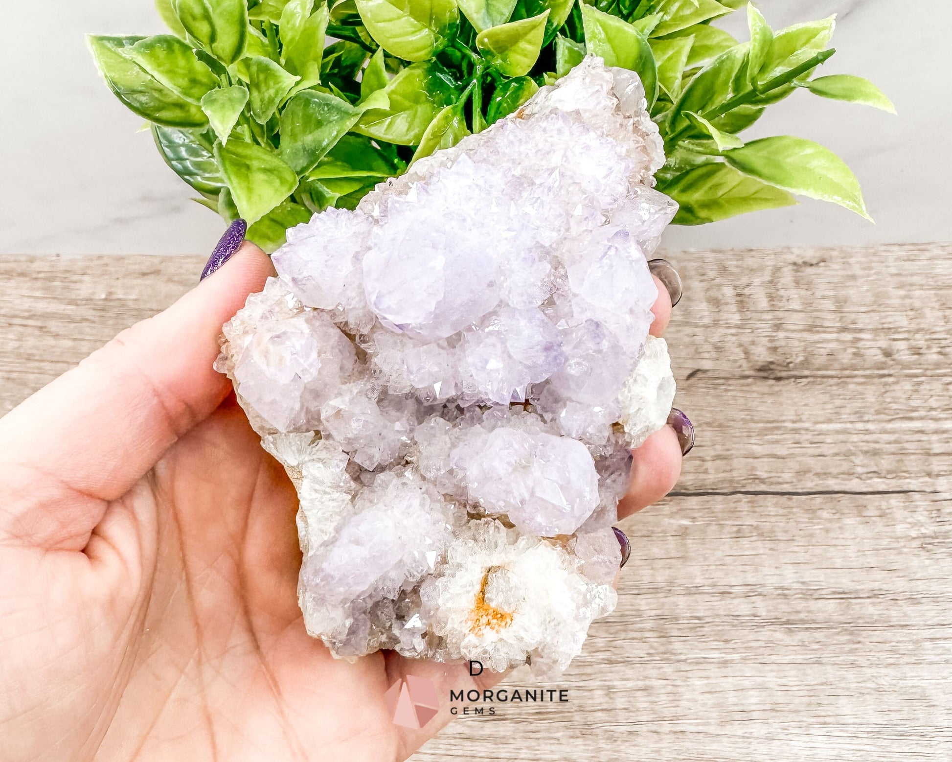 Spirit (Cactus) Quartz Specimens – Unique Natural Crystal Clusters for Spiritual Growth and Healing-Morganite Gems