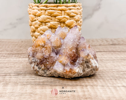 Spirit (Cactus) Quartz Specimens – Unique Natural Crystal Clusters for Spiritual Growth and Healing-Morganite Gems