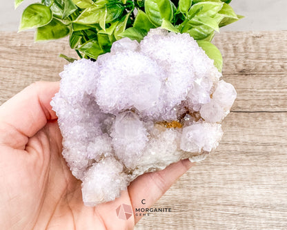 Spirit (Cactus) Quartz Specimens – Unique Natural Crystal Clusters for Spiritual Growth and Healing-Morganite Gems