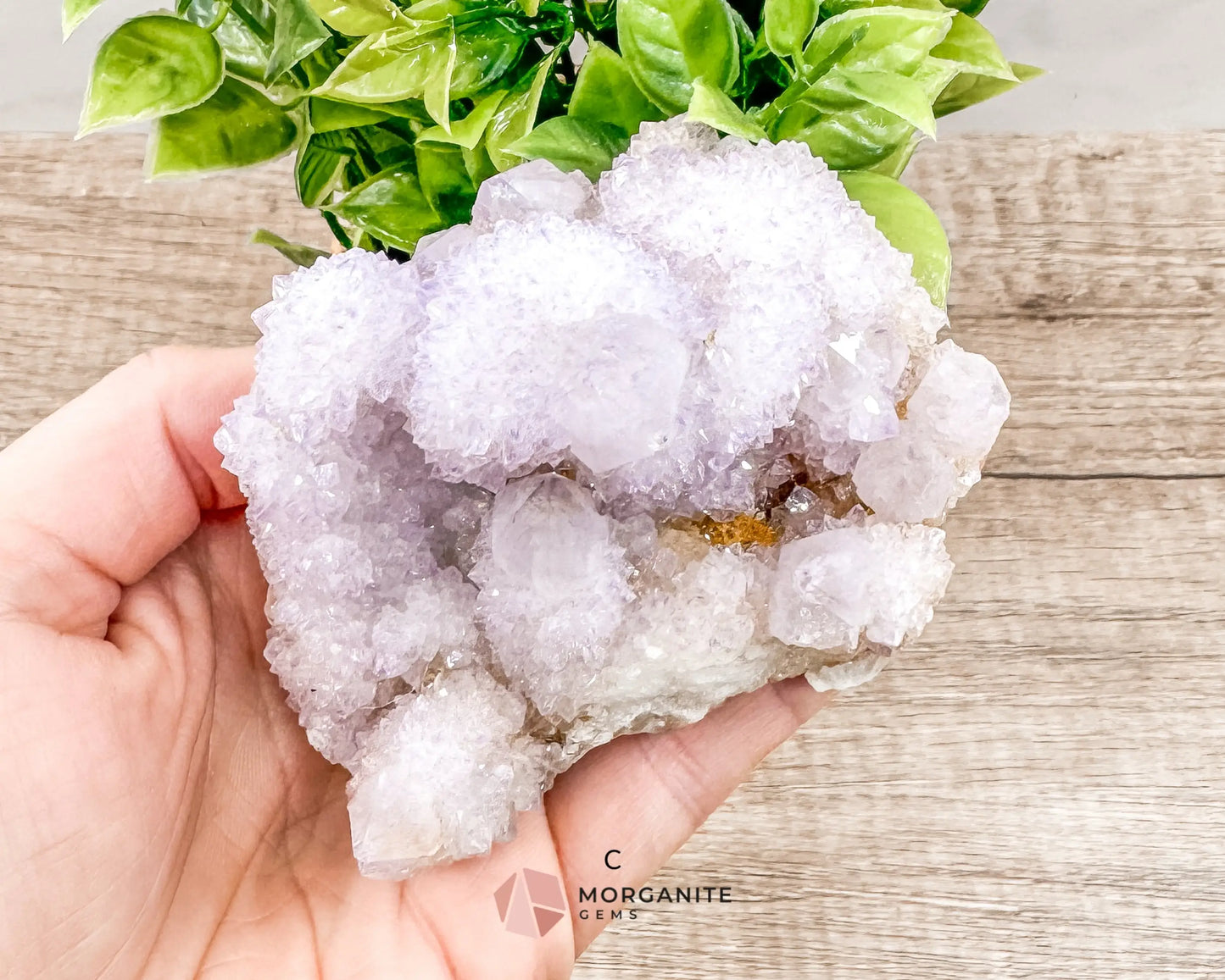 Spirit (Cactus) Quartz Specimens – Unique Natural Crystal Clusters for Spiritual Growth and Healing-Morganite Gems