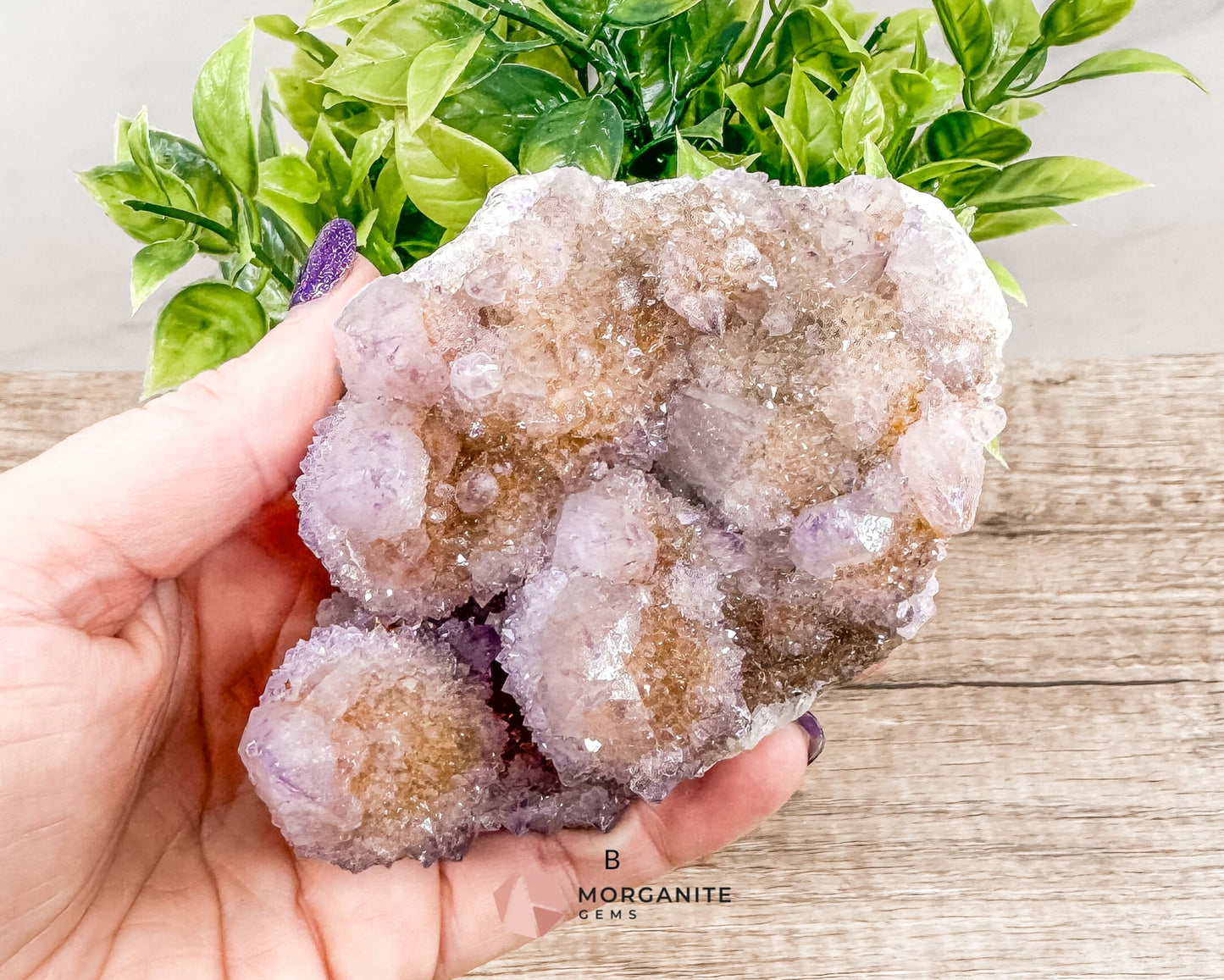 Spirit (Cactus) Quartz Specimens – Unique Natural Crystal Clusters for Spiritual Growth and Healing-Morganite Gems