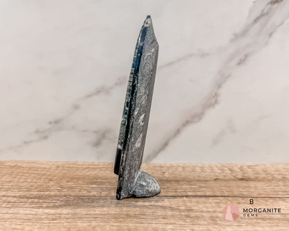 Standing Orthoceras Fossil Tower – Ancient Fossil for Grounding, Transformation & Historical Beauty-Morganite Gems