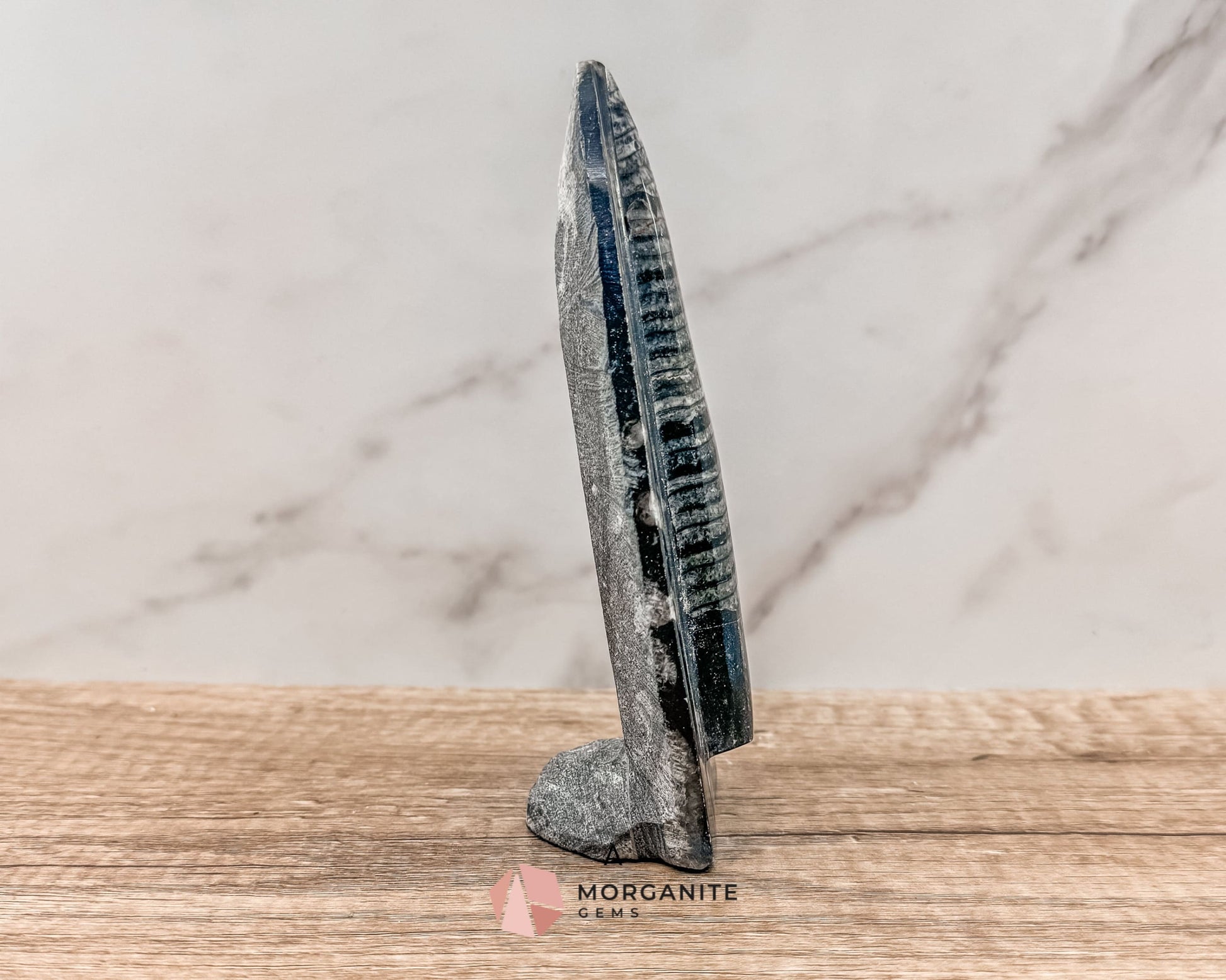 Standing Orthoceras Fossil Tower – Ancient Fossil for Grounding, Transformation & Historical Beauty-Morganite Gems