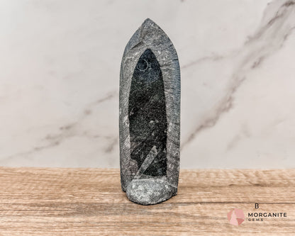 Standing Orthoceras Fossil Tower – Ancient Fossil for Grounding, Transformation & Historical Beauty-Morganite Gems