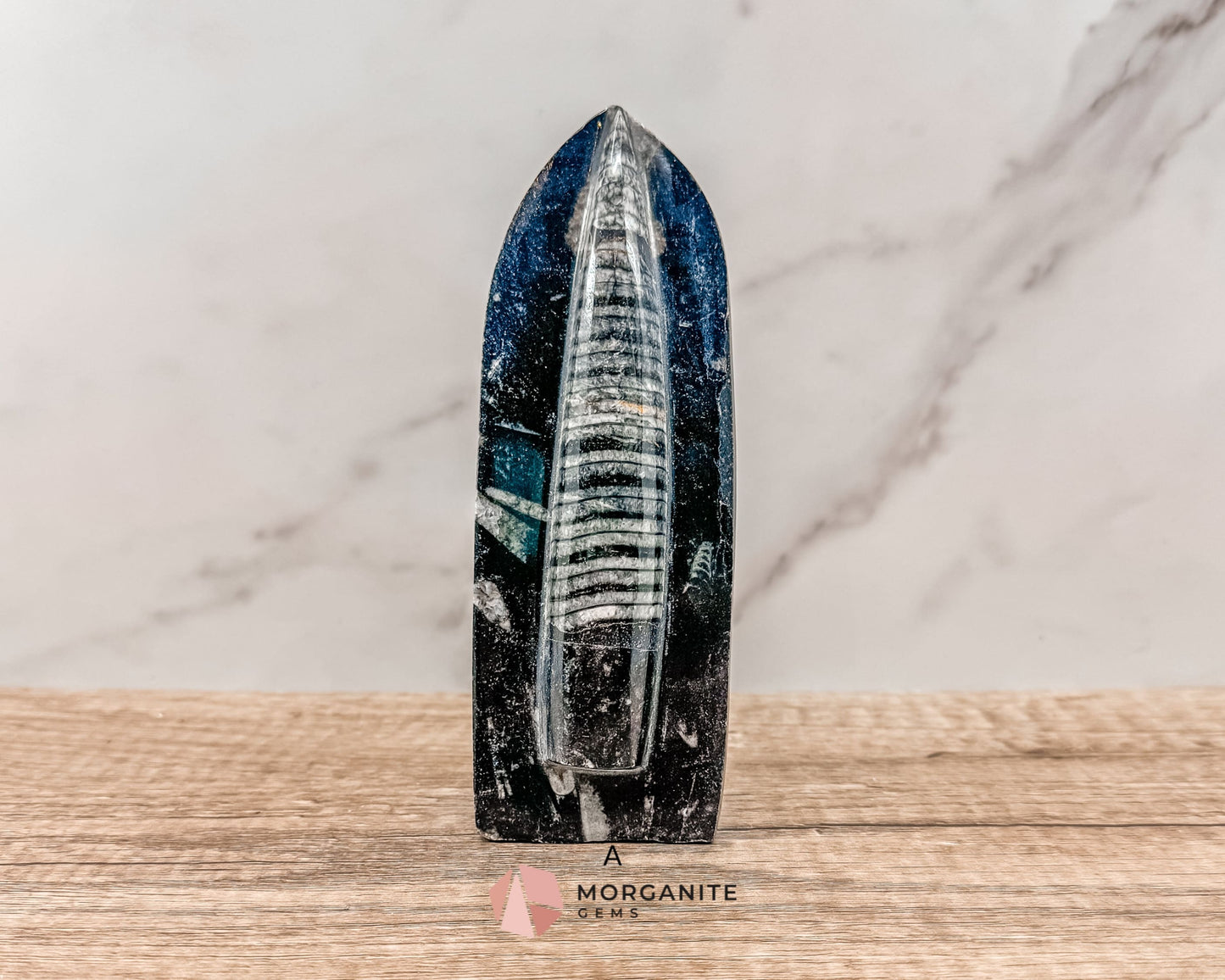 Standing Orthoceras Fossil Tower – Ancient Fossil for Grounding, Transformation & Historical Beauty-Morganite Gems