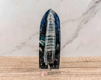 Standing Orthoceras Fossil Tower – Ancient Fossil for Grounding, Transformation & Historical Beauty-Morganite Gems