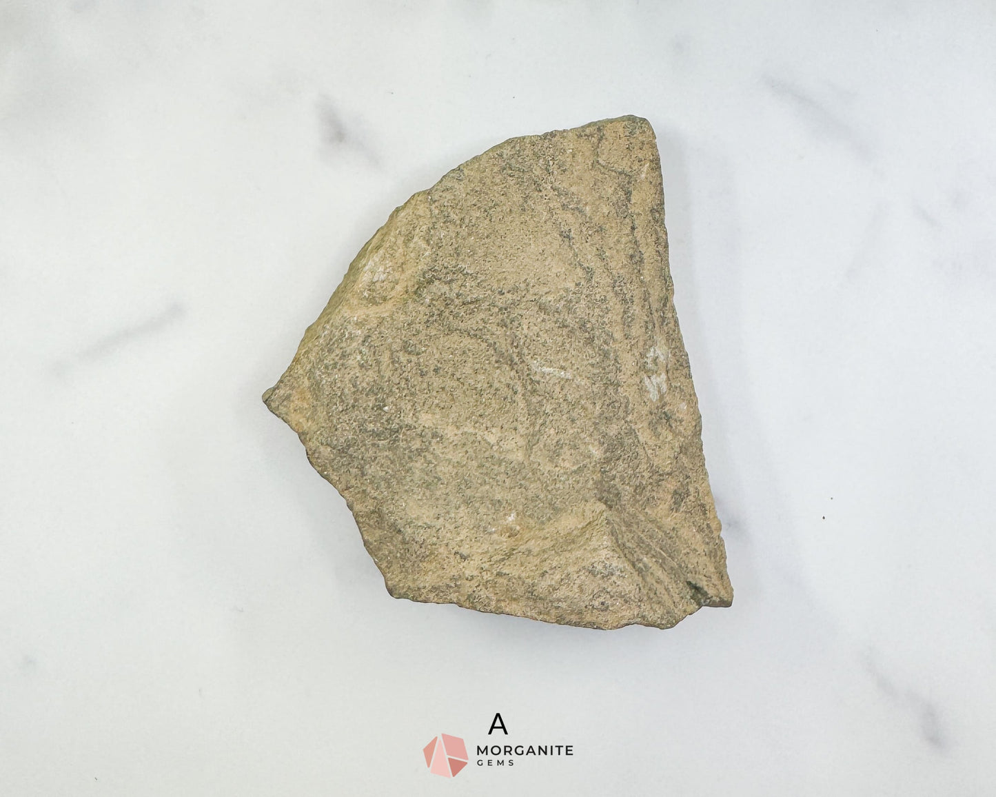 Starfish Fossil Trio – Choose A B or C | Natural Marine Fossils in Stone Matrix - Fossils