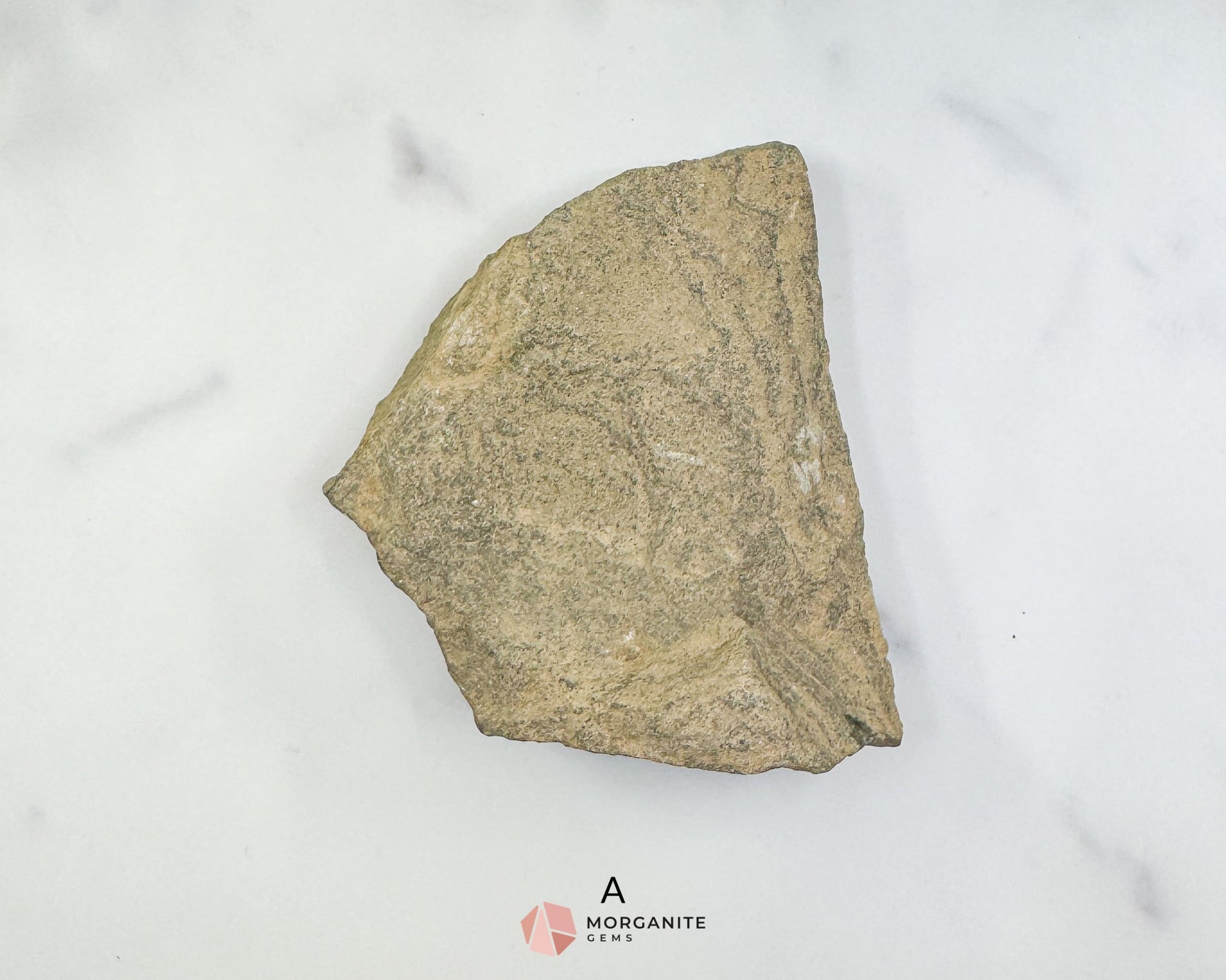 Starfish Fossil Trio – Choose A B or C | Natural Marine Fossils in Stone Matrix - Fossils
